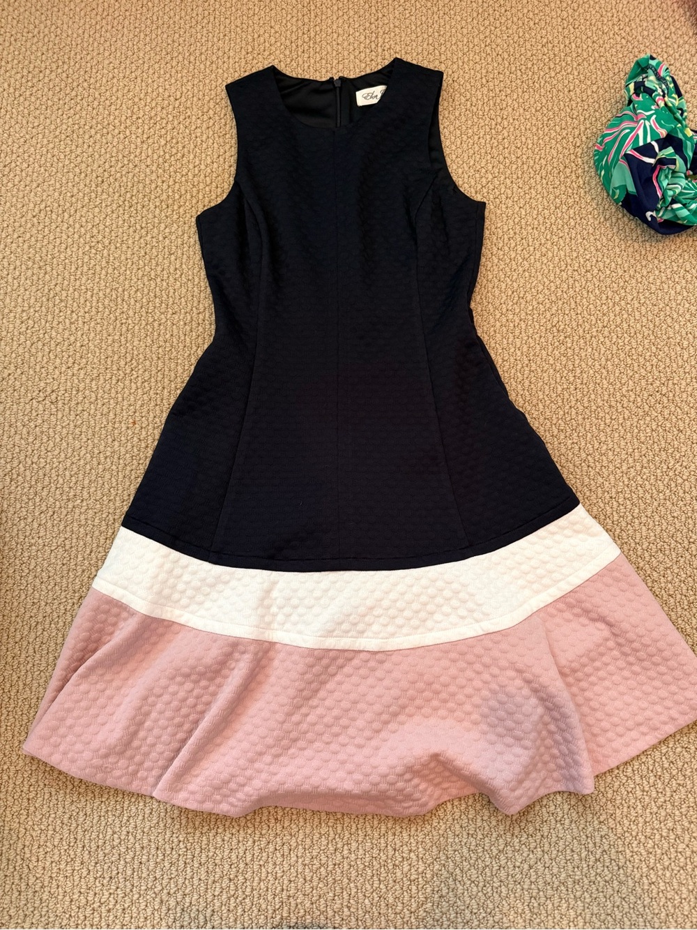 Ellen Tracy Sleeveless Colorblock Fit & Flare Dress in Black, White & Blush Pink